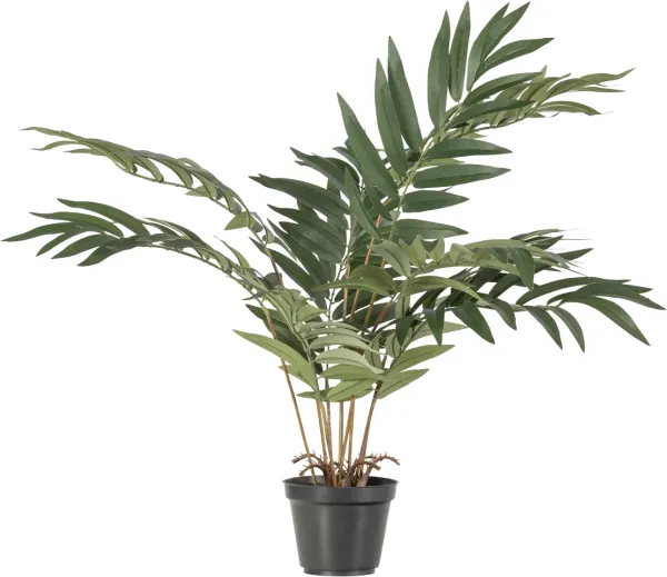 Kwai, Tekokasvi, vihreä, K68x50x51 cm